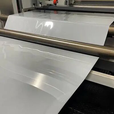 ซื้อ 1mm*4*8 ขนาดเท้า ASA PETG GAG ใบตกแต่ง เส้นขีดออก แผ่นเนื้อผงกระจ่าง ASA เครื่องผลิตหนังตกแต่ง online manufacture