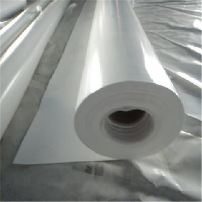 ซื้อ PVC PVDC Cling Cast Film Extrusion Line 250kg H บรรจุภัณฑ์อาหาร online manufacture